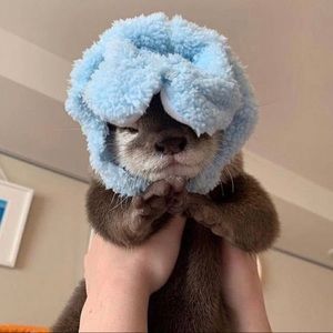 Meet your Posher, Katrina